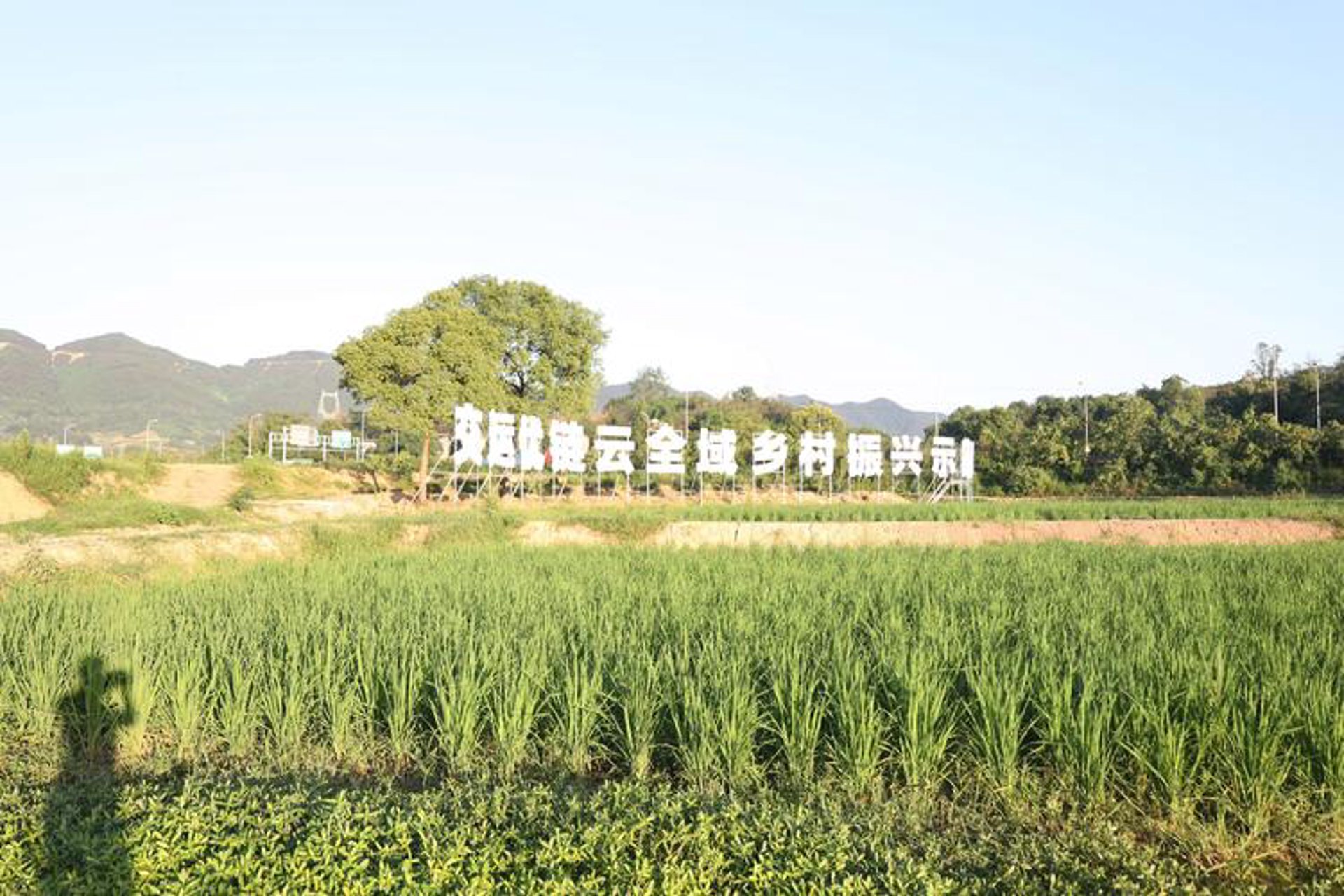 土屋坊农业