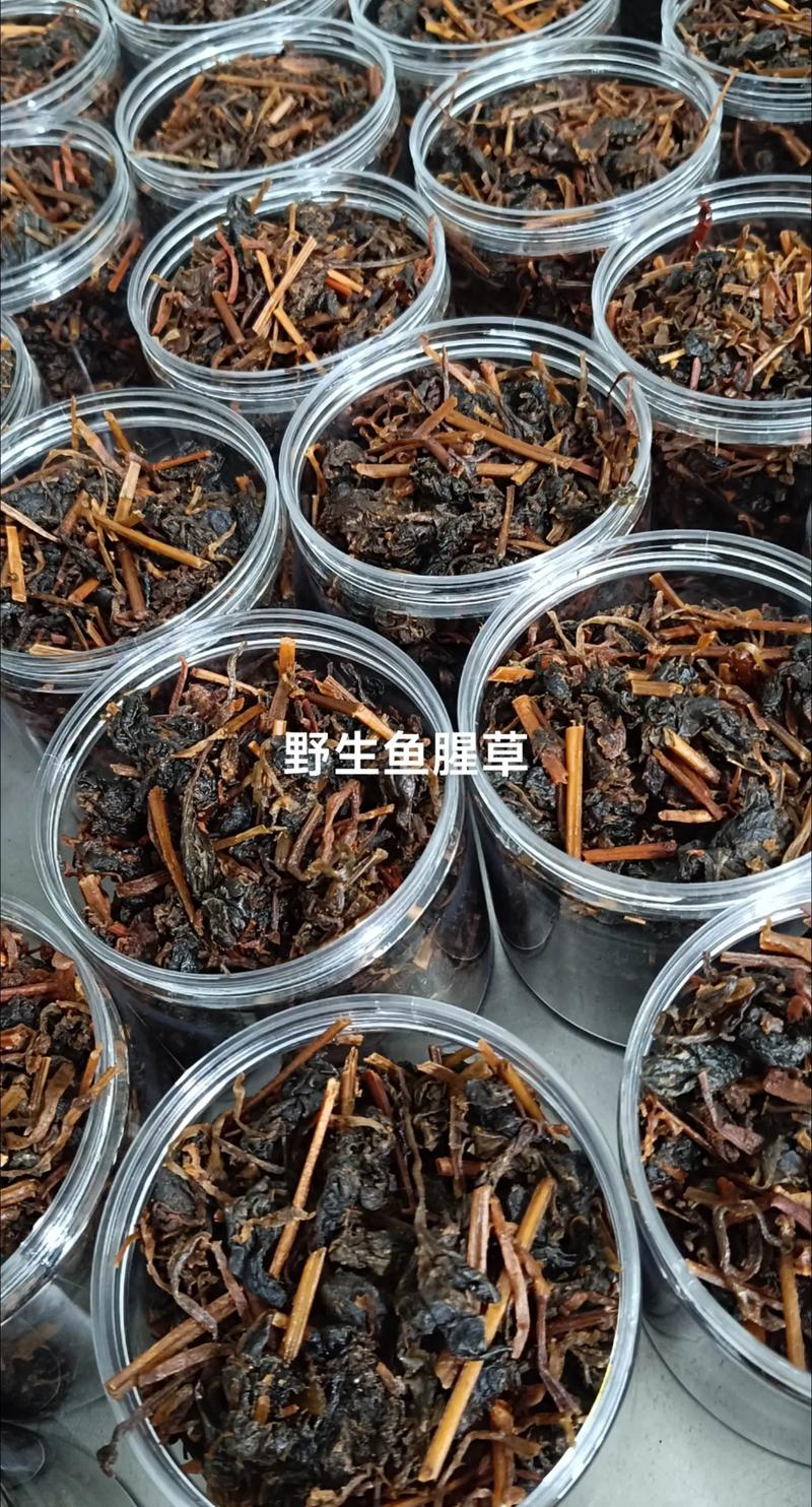 传统工艺的传承与革新:土屋坊的故事