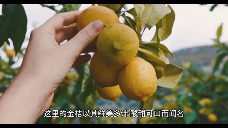 浏阳农产品:乡村振兴的绿色风景线
